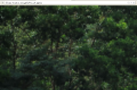 &ldquo;漸進式&rdquo;圖像加載效果