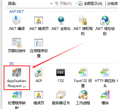 Application Request Routing(應(yīng)用程序請求路由)的圖標(biāo)